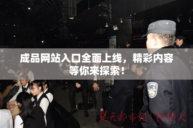 成品网站入口全面上线，精彩内容等你来探索！