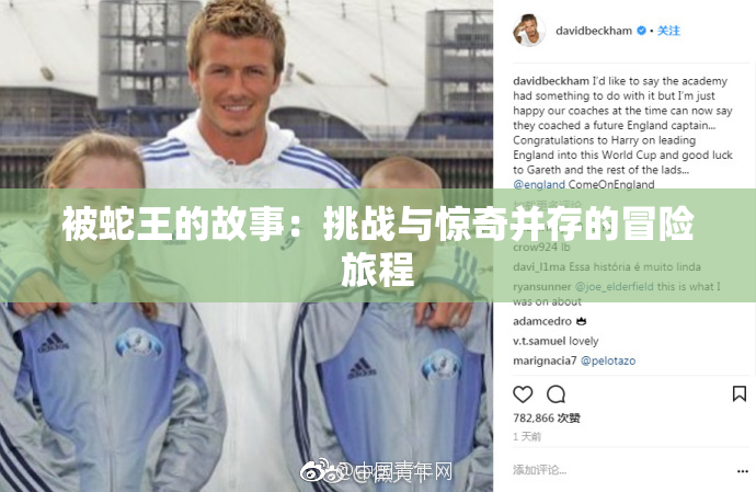 被蛇王的故事：挑战与惊奇并存的冒险旅程