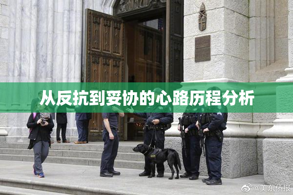 从反抗到妥协的心路历程分析