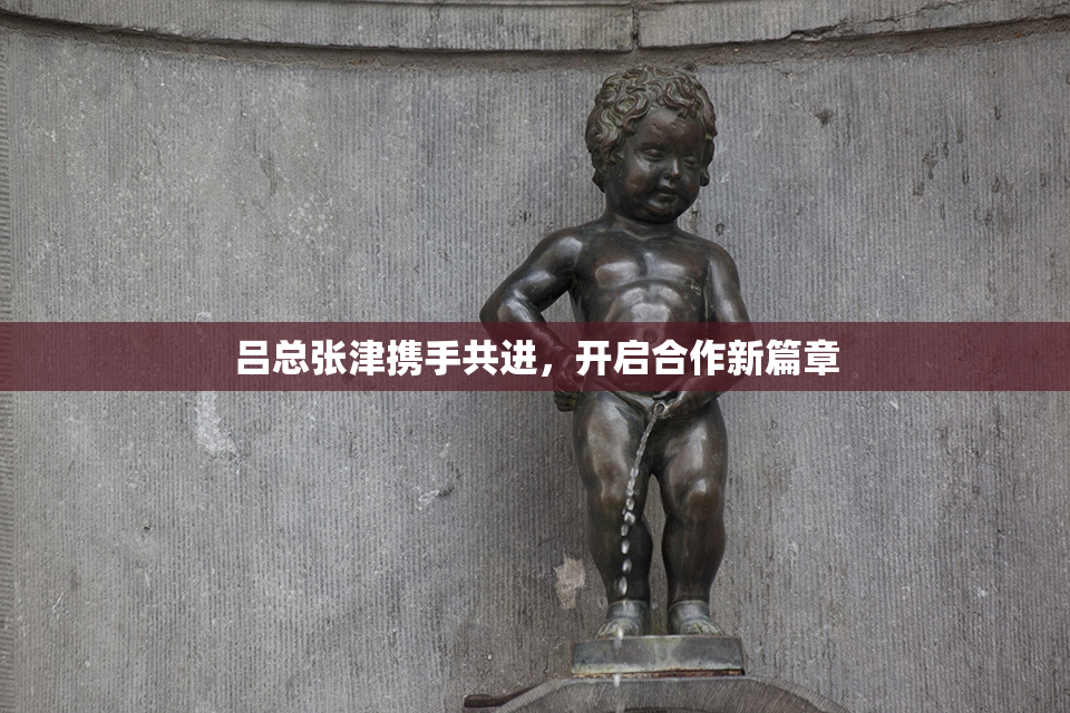 吕总张津携手共进，开启合作新篇章