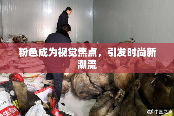 粉色成为视觉焦点，引发时尚新潮流