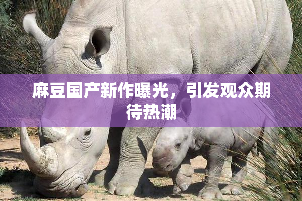 麻豆国产新作曝光，引发观众期待热潮