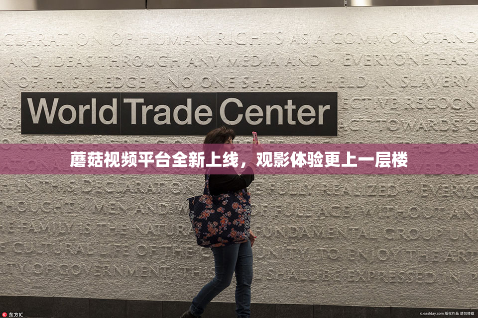蘑菇视频平台全新上线，观影体验更上一层楼