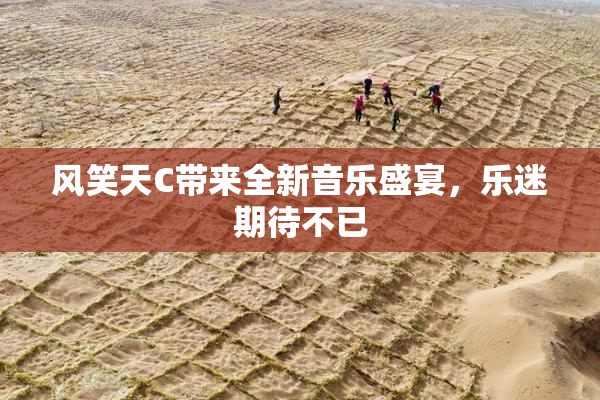 风笑天C带来全新音乐盛宴，乐迷期待不已