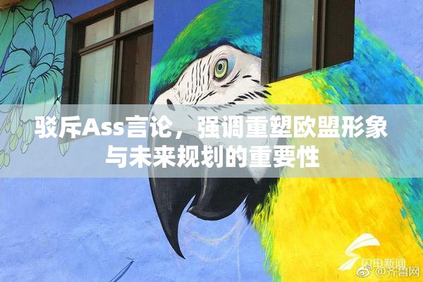 驳斥Ass言论，强调重塑欧盟形象与未来规划的重要性