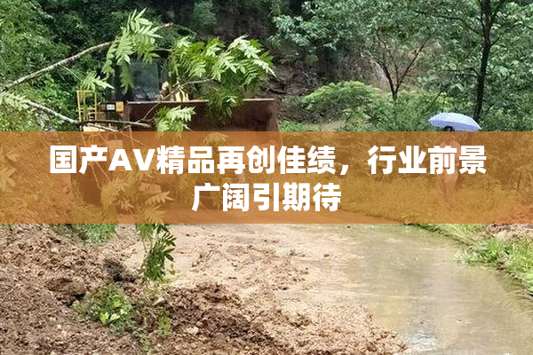 国产AV精品再创佳绩，行业前景广阔引期待