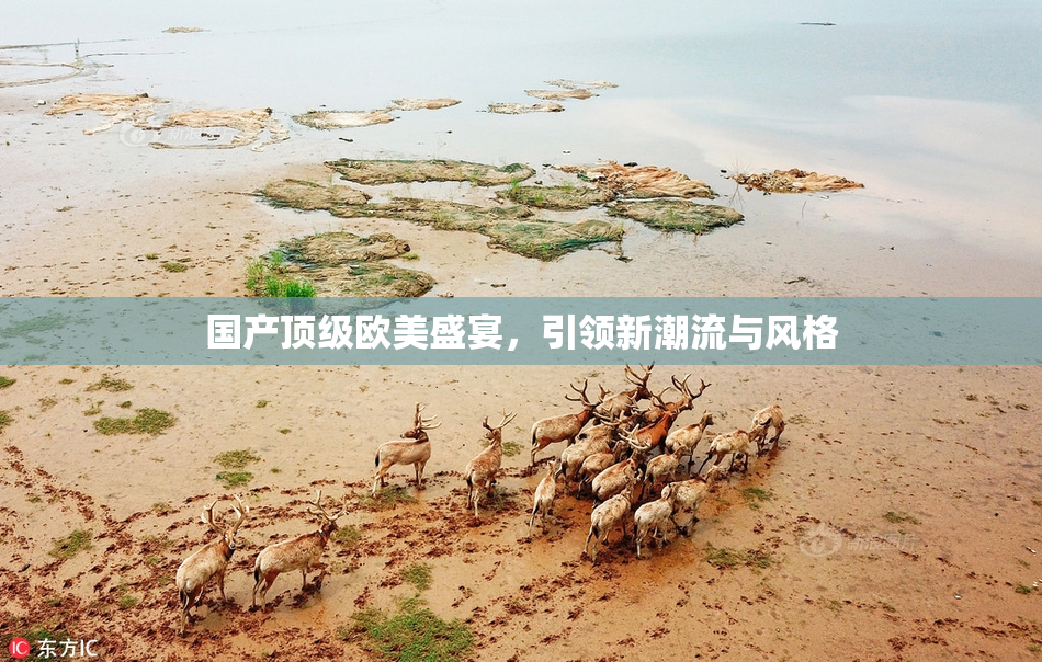 国产顶级欧美盛宴，引领新潮流与风格