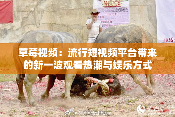 草莓视频：流行短视频平台带来的新一波观看热潮与娱乐方式