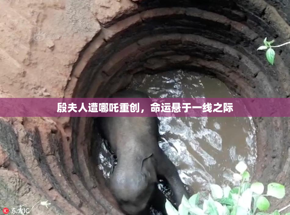 殷夫人遭哪吒重创，命运悬于一线之际