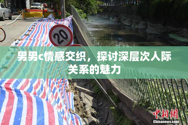 男男c情感交织，探讨深层次人际关系的魅力