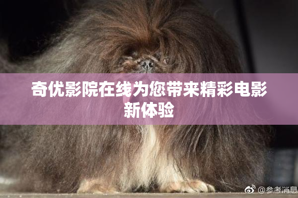 奇优影院在线为您带来精彩电影新体验