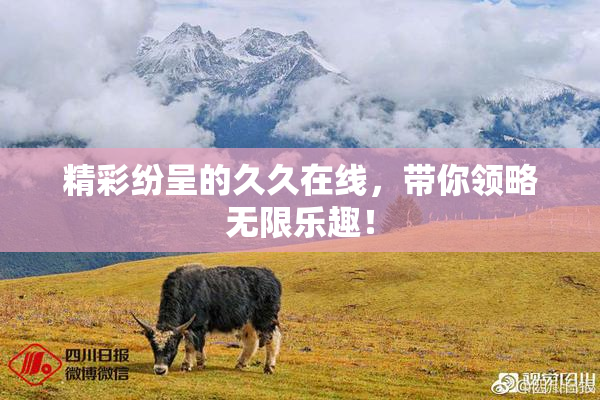 精彩纷呈的久久在线，带你领略无限乐趣！