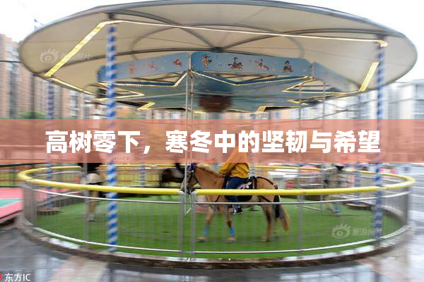 高树零下，寒冬中的坚韧与希望
