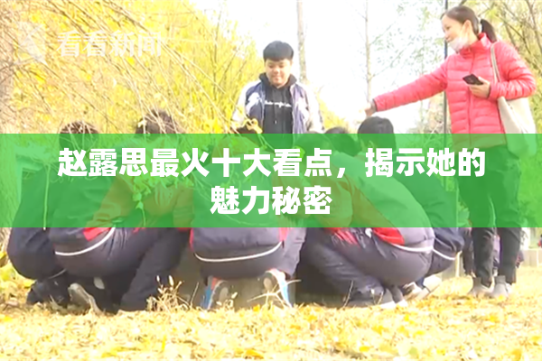 赵露思最火十大看点，揭示她的魅力秘密