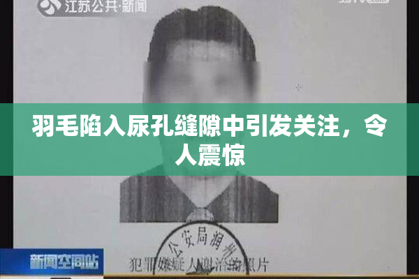 羽毛陷入尿孔缝隙中引发关注，令人震惊