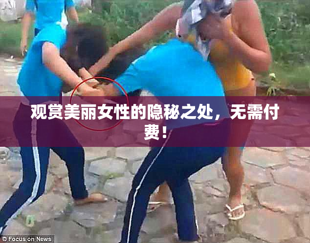 观赏美丽女性的隐秘之处，无需付费！