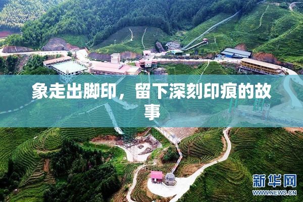 象走出脚印，留下深刻印痕的故事