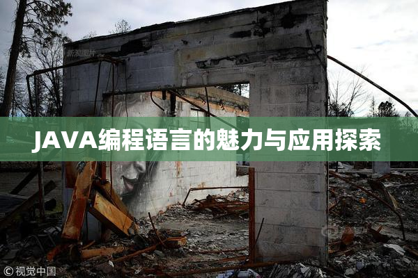 JAVA编程语言的魅力与应用探索