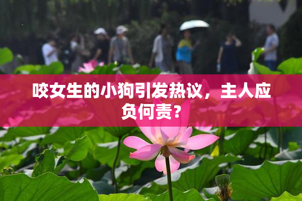 咬女生的小狗引发热议，主人应负何责？