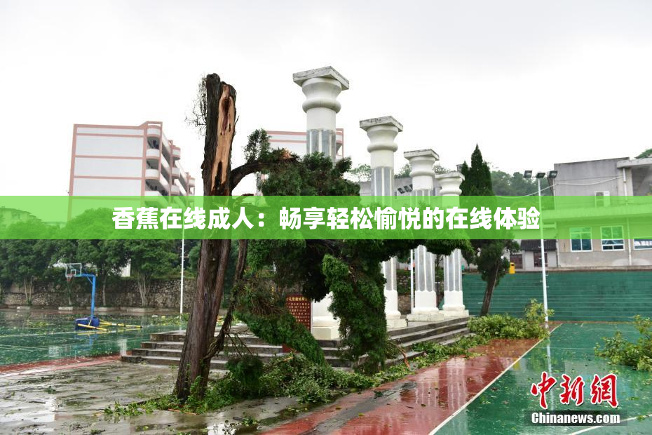 香蕉在线成人：畅享轻松愉悦的在线体验