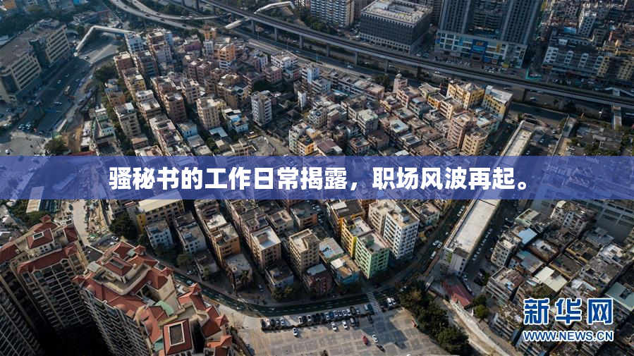 骚秘书的工作日常揭露，职场风波再起。