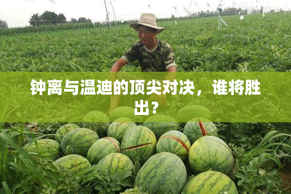 钟离与温迪的顶尖对决，谁将胜出？