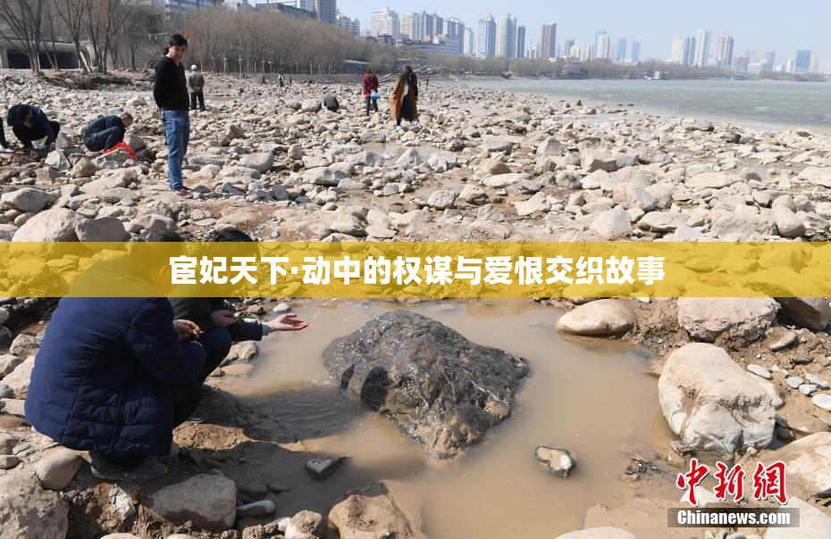 宦妃天下·动中的权谋与爱恨交织故事
