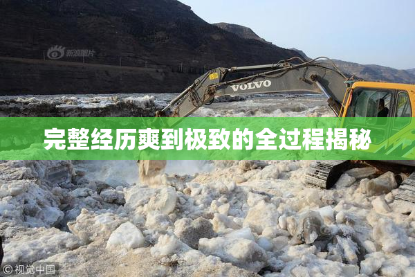 完整经历爽到极致的全过程揭秘