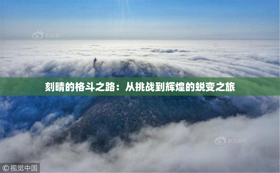 刻晴的格斗之路：从挑战到辉煌的蜕变之旅