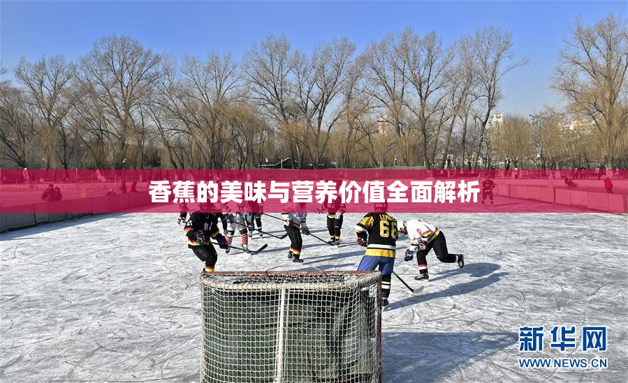 香蕉的美味与营养价值全面解析