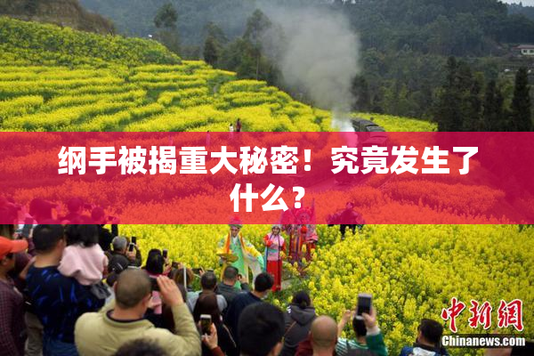 纲手被揭重大秘密！究竟发生了什么？