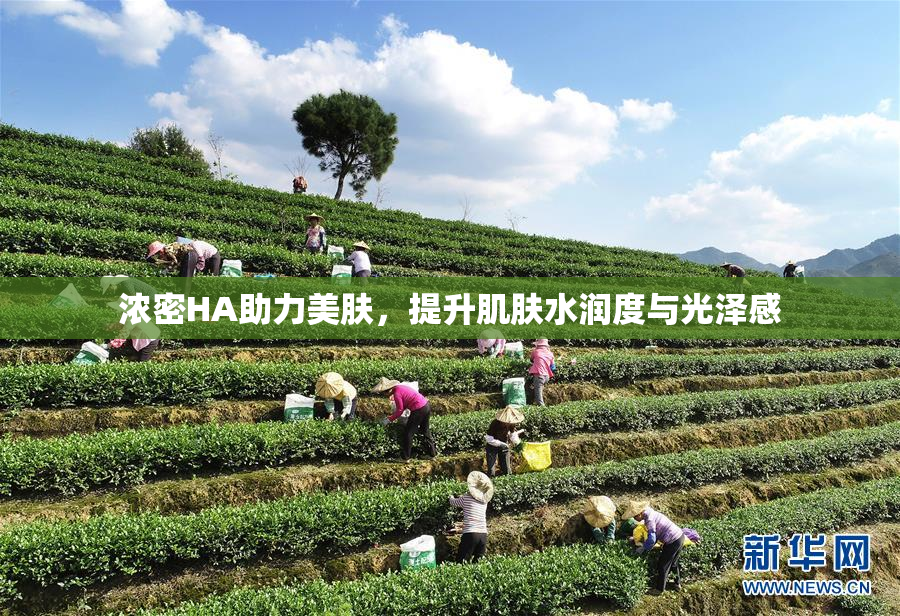 浓密HA助力美肤，提升肌肤水润度与光泽感
