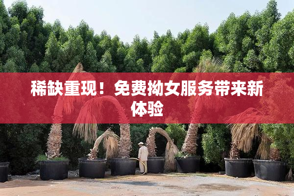 稀缺重现！免费拗女服务带来新体验