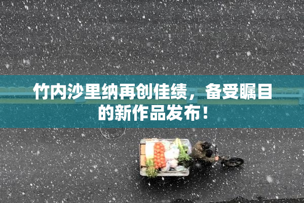 竹内沙里纳再创佳绩，备受瞩目的新作品发布！