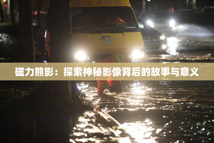 磁力熊影：探索神秘影像背后的故事与意义