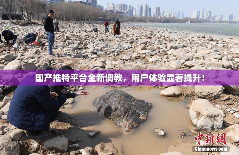 国产推特平台全新调教，用户体验显著提升！