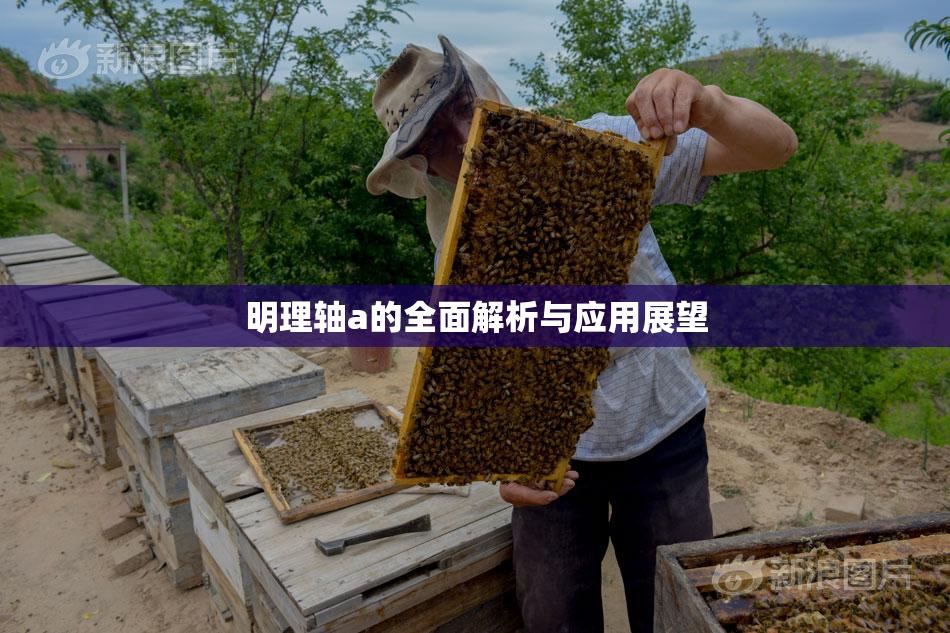明理轴a的全面解析与应用展望
