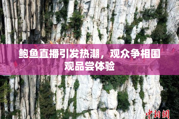 鲍鱼直播引发热潮，观众争相围观品尝体验