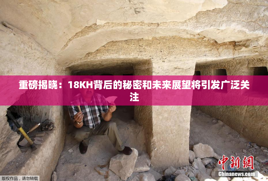 重磅揭晓：18KH背后的秘密和未来展望将引发广泛关注