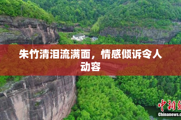 朱竹清泪流满面，情感倾诉令人动容