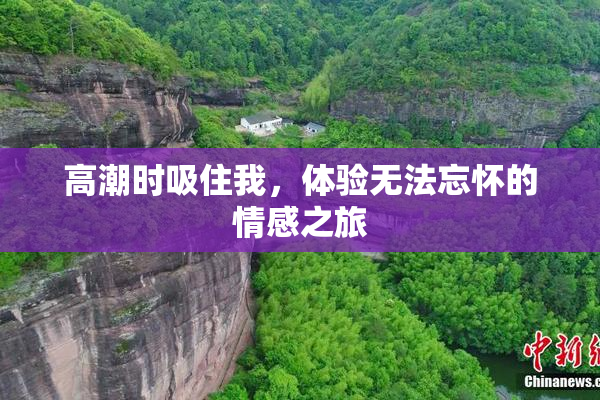 高潮时吸住我，体验无法忘怀的情感之旅