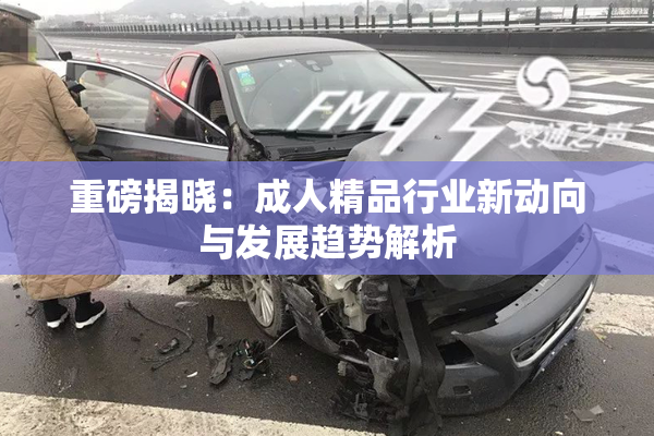重磅揭晓：成人精品行业新动向与发展趋势解析