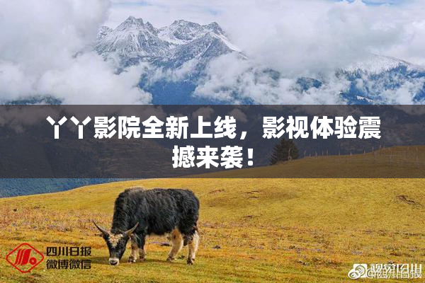 丫丫影院全新上线，影视体验震撼来袭！