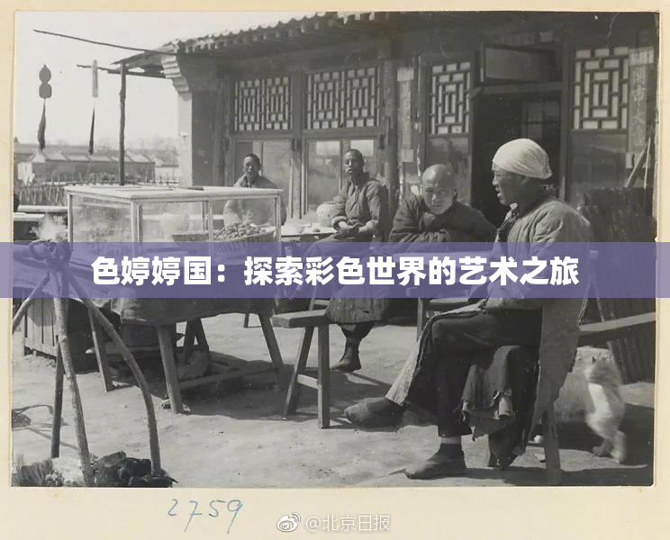 色婷婷国：探索彩色世界的艺术之旅