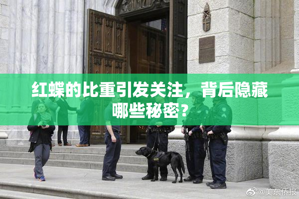 红蝶的比重引发关注，背后隐藏哪些秘密？