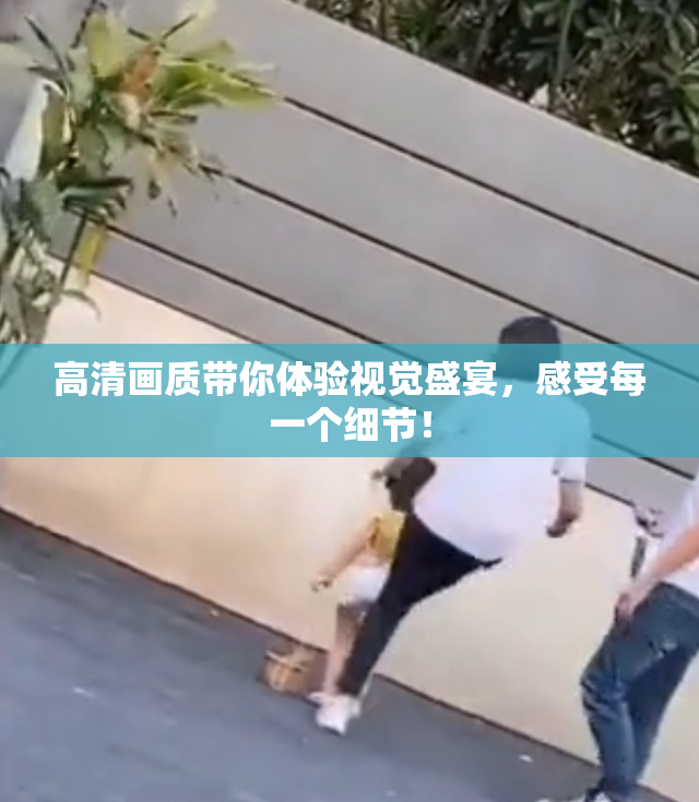 高清画质带你体验视觉盛宴，感受每一个细节！