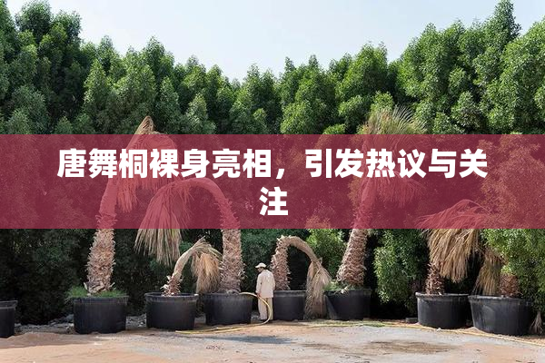 唐舞桐裸身亮相，引发热议与关注