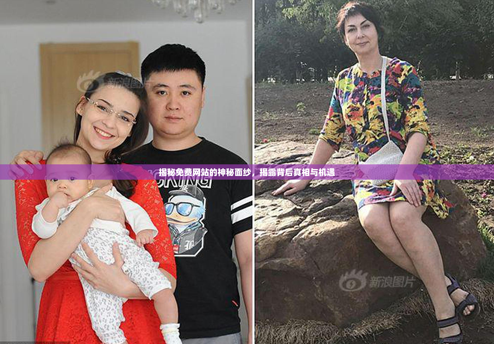 揭秘免费网站的神秘面纱，揭露背后真相与机遇