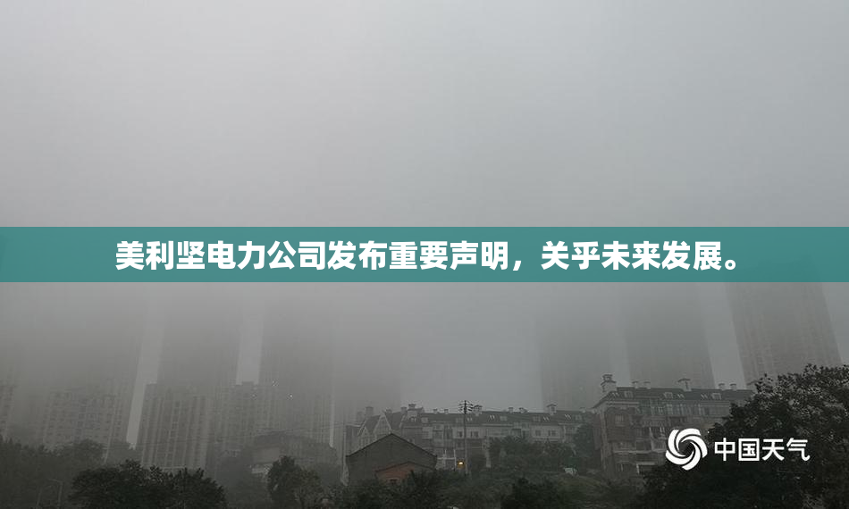 美利坚电力公司发布重要声明，关乎未来发展。