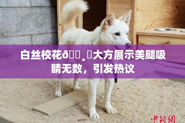 白丝校花🌸‌大方展示美腿吸睛无数，引发热议